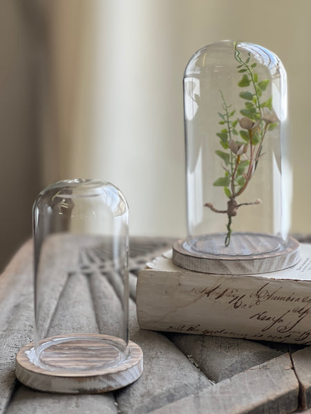 Brescia Cloche | Set/2