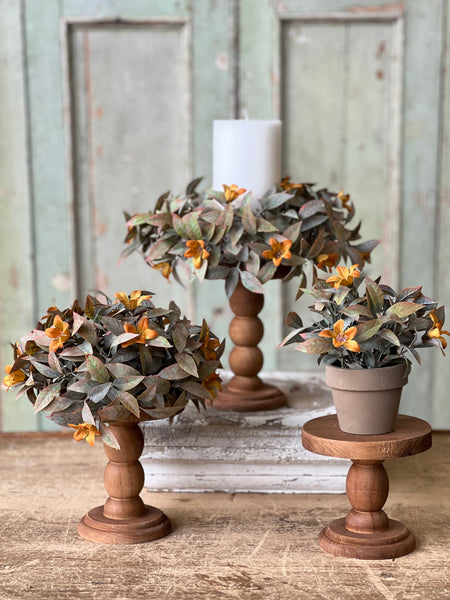 Baldwin Holders | Set/3 | Limited Stock - Last 56 sets!