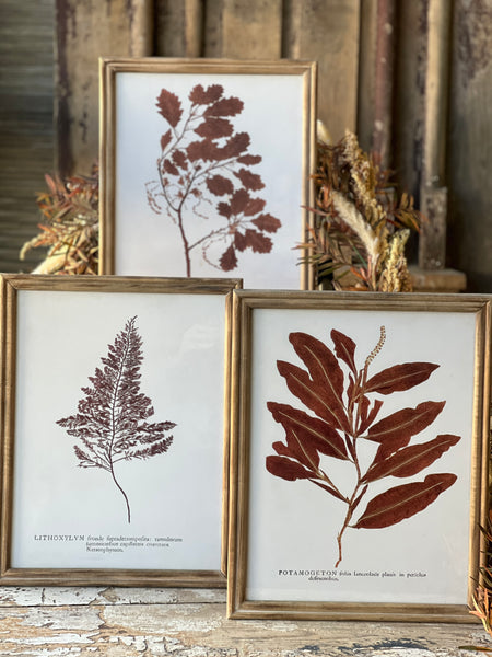 Netherwood Botanicals | No. 3