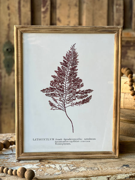 Netherwood Botanicals | No. 2