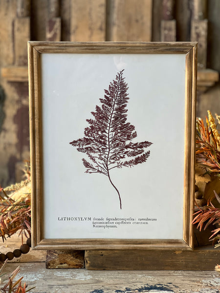 Netherwood Botanicals | No. 2