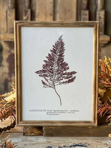 Netherwood Botanicals | No. 2