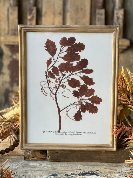 Netherwood Botanicals | No. 3