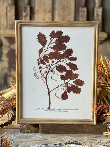 Netherwood Botanicals | No. 3