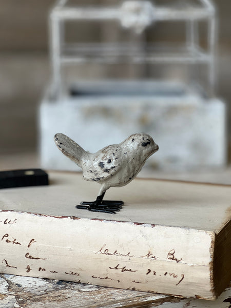 Iron Birds | 2" | Asst/4 | NOT CURRENTLY IN STOCK-New For Spring 2027!