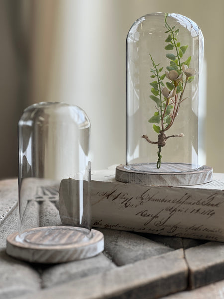 Brescia Cloche | Set/2