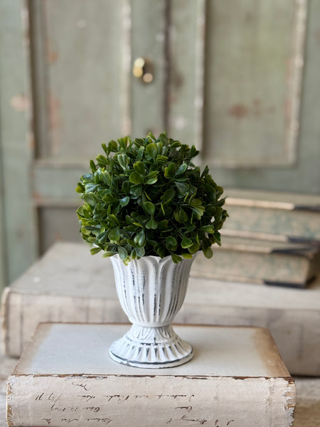 Purity Vessel | 4" | NOT CURRENTLY IN STOCK-New For Spring 2027!
