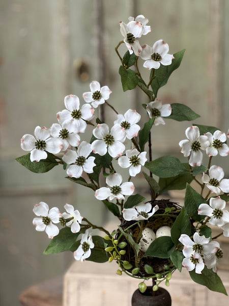 Dressage Dogwood Pick | 18" | NOT CURRENTLY IN STOCK-New For Spring 2026!