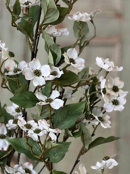Dressage Dogwood Spray | 41.5" | NOT CURRENTLY IN STOCK-New For Spring 2026!