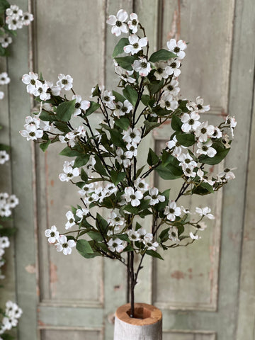 Dressage Dogwood Spray | 41.5" | NOT CURRENTLY IN STOCK-New For Spring 2026!