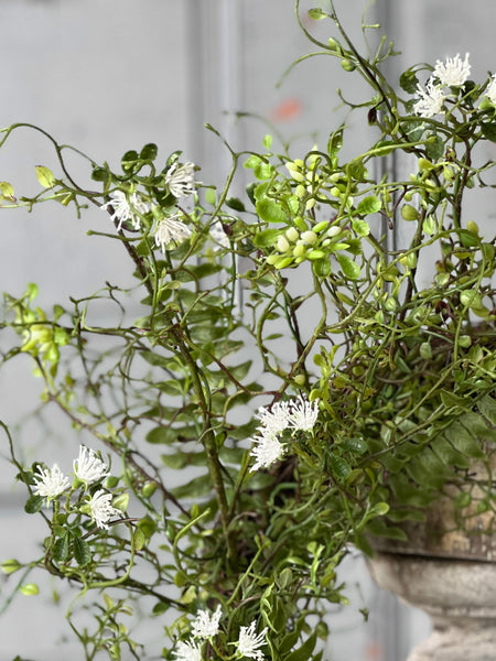 Wild Glade Wreath | 27" | NOT CURRENTLY IN STOCK-New For Spring 2026!