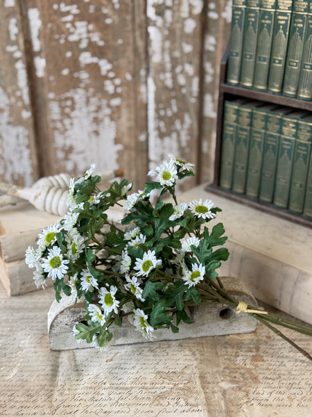 Charisma Daisy Bundle | 15" | Cream | NOT CURRENTLY IN STOCK-New For Spring 2027!