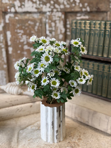 Charisma Daisy Bundle | 15" | Cream | NOT CURRENTLY IN STOCK-New For Spring 2027!