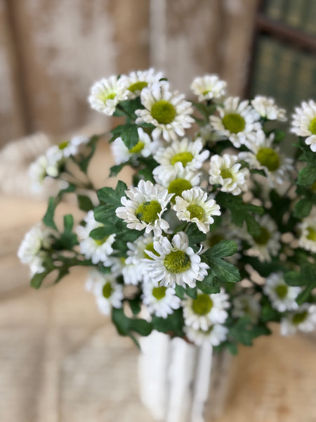 Charisma Daisy Bundle | 15" | Cream | NOT CURRENTLY IN STOCK-New For Spring 2027!