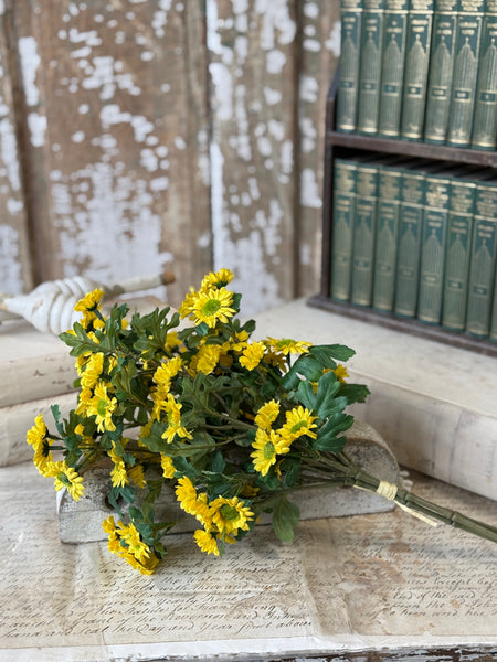 Charisma Daisy Bundle | 15" | Yellow | NOT CURRENTLY IN STOCK-New For Spring 2027!