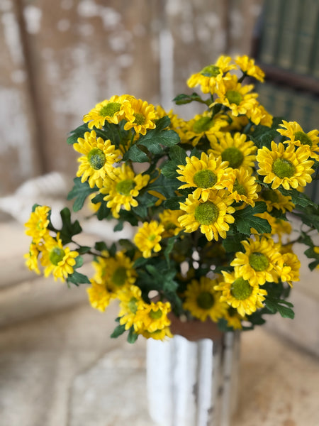 Charisma Daisy Bundle | 15" | Yellow | NOT CURRENTLY IN STOCK-New For Spring 2027!