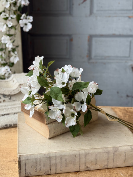 Whirlaway Dogwood Bundle | 18" | NOT CURRENTLY IN STOCK-New For Spring 2027!