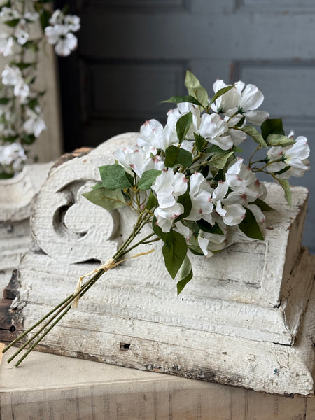 Whirlaway Dogwood Bundle | 18" | NOT CURRENTLY IN STOCK-New For Spring 2027!
