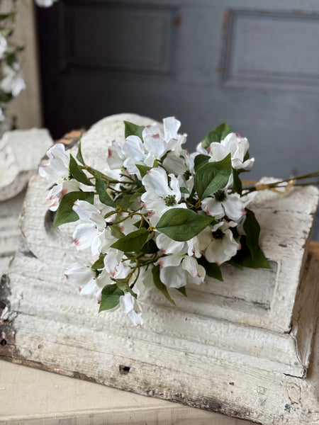 Whirlaway Dogwood Bundle | 18" | NOT CURRENTLY IN STOCK-New For Spring 2027!