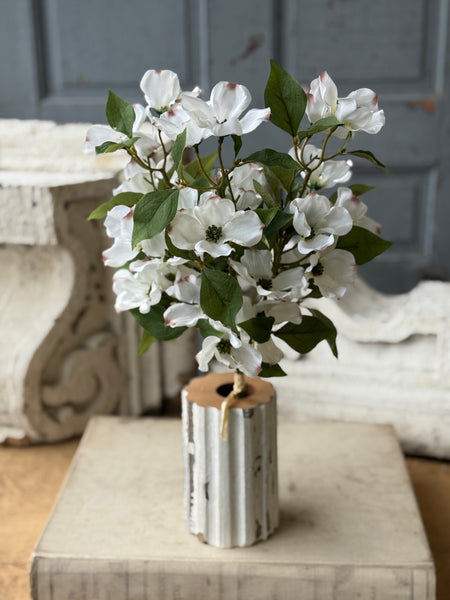 Whirlaway Dogwood Bundle | 18" | NOT CURRENTLY IN STOCK-New For Spring 2027!