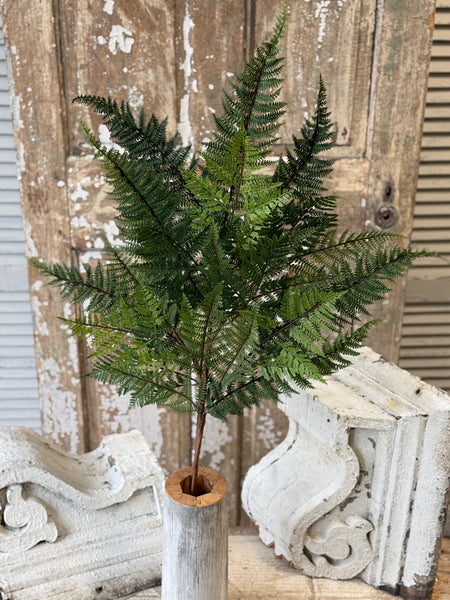 Royalty Fern Spray | 43" | NOT CURRENTLY IN STOCK-New For Spring 2027!