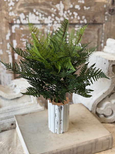 Royalty Fern Bush | 22" | NOT CURRENTLY IN STOCK-New For Spring 2027!
