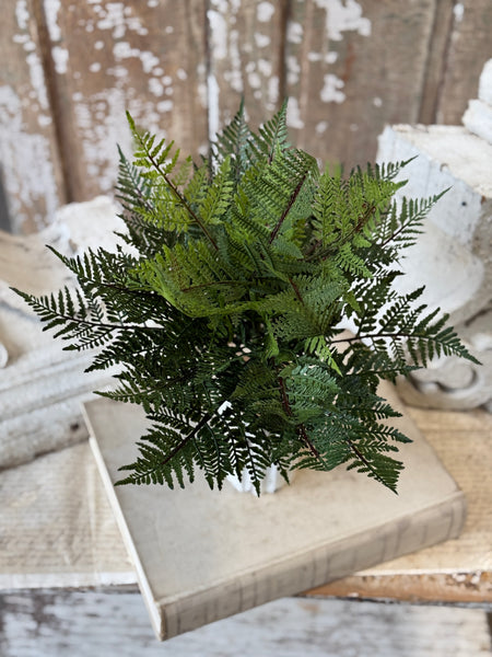 Royalty Fern Bush | 22" | NOT CURRENTLY IN STOCK-New For Spring 2027!