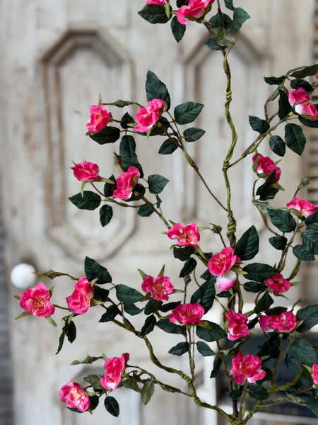Candywick Rose Spray | 34" | Beauty | NOT CURRENTLY IN STOCK-New For Spring 2027!