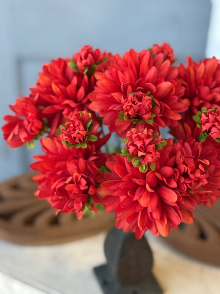 Mammy's Mums | 12" | Flame | NOT CURRENTLY IN STOCK-New For Spring 2027!