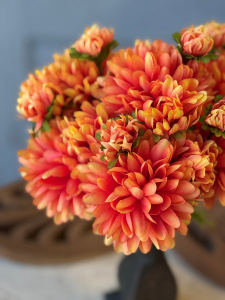 Mammy's Mums | 12" | Orange | NOT CURRENTLY IN STOCK-New For Spring 2027!