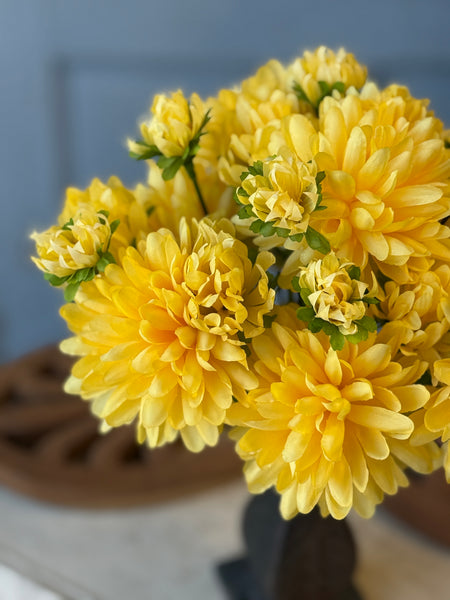 Mammy's Mums | 12" | Yellow | NOT CURRENTLY IN STOCK-New For Spring 2027!