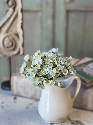 Charity Blooms Bundle | 8" | Cream | NOT CURRENTLY IN STOCK-New For Spring 2027!