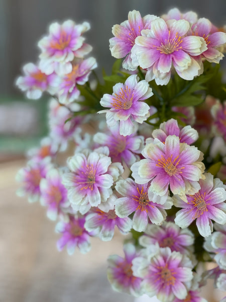 Safflower Blooms | 16" | Blush | NOT CURRENTLY IN STOCK-New For Spring 2027!