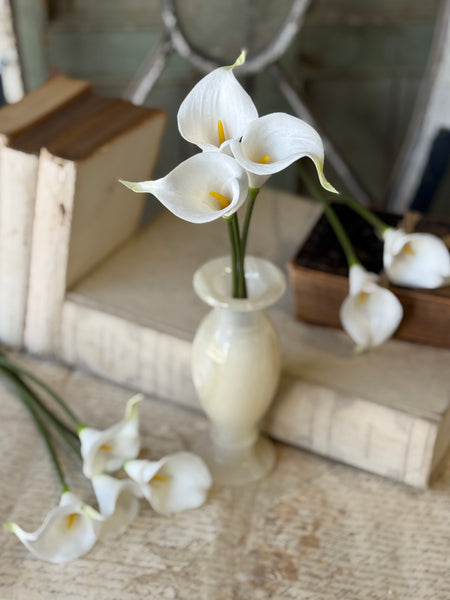Couture Calla Bundle | 13" | Cream | NOT CURRENTLY IN STOCK-New For Spring 2027!