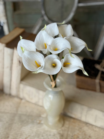 Couture Calla Bundle | 13" | Cream | NOT CURRENTLY IN STOCK-New For Spring 2027!