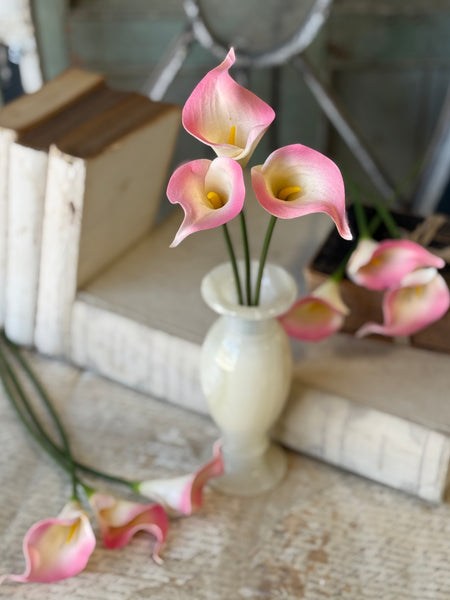 Couture Calla Bundle | 13" | Flirt | NOT CURRENTLY IN STOCK-New For Spring 2027!