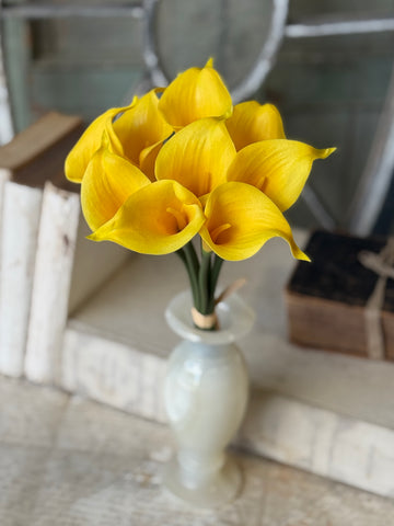 Couture Calla Bundle | 13" | Sunbeam | NOT CURRENTLY IN STOCK-New For Spring 2027!