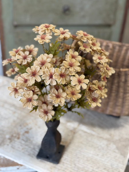 Courtland Cosmos | 16" | Flax | NOT CURRENTLY IN STOCK-New For Holiday 2026!