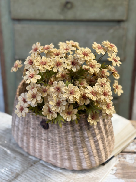 Courtland Cosmos | 16" | Flax | NOT CURRENTLY IN STOCK-New For Holiday 2026!