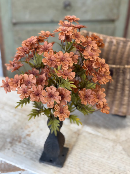 Courtland Cosmos | 16" | Spice | NOT CURRENTLY IN STOCK-New For Holiday 2026!