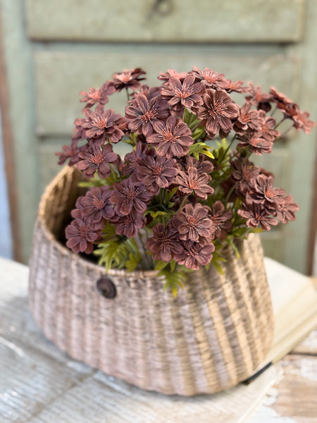 Courtland Cosmos | 16" | Umber | NOT CURRENTLY IN STOCK-New For Holiday 2026!