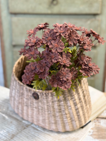 Courtland Cosmos | 16" | Umber | NOT CURRENTLY IN STOCK-New For Holiday 2026!