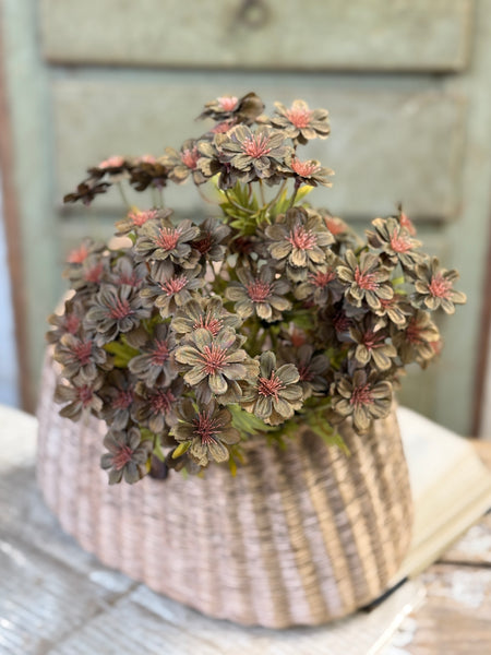 Courtland Cosmos | 16" | Darken | NOT CURRENTLY IN STOCK-New For Holiday 2026!