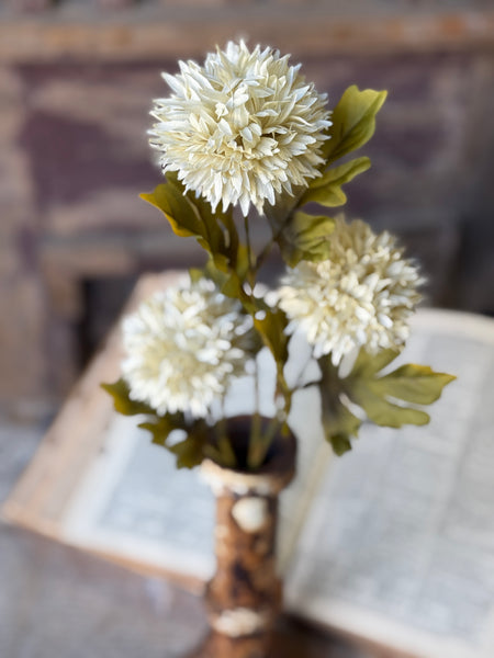 Jester Blooms | 22" | Cream | NOT CURRENTLY IN STOCK-New For Holiday 2026!