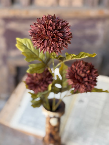 Jester Blooms | 22" | Cocoa | NOT CURRENTLY IN STOCK-New For Holiday 2026!