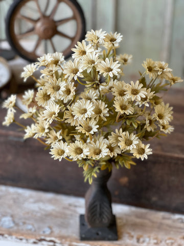 Ashdale Daisy Bush | 16" | Ecru | SOLD OUT