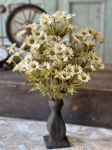 Ashdale Daisy Bush | 16" | Ecru | SOLD OUT