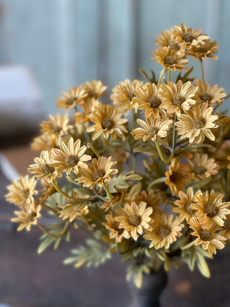 Ashdale Daisy Bush | 16" | Mustard | SOLD OUT