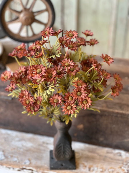 Ashdale Daisy Bush | 16" | Rusty | SOLD OUT