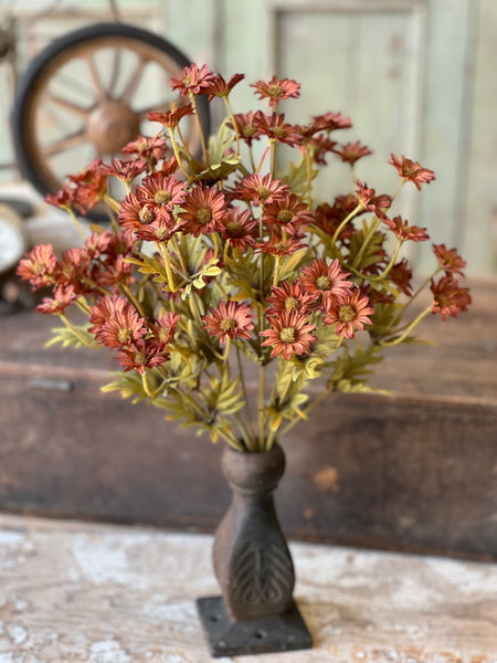 Ashdale Daisy Bush | 16" | Rusty | SOLD OUT